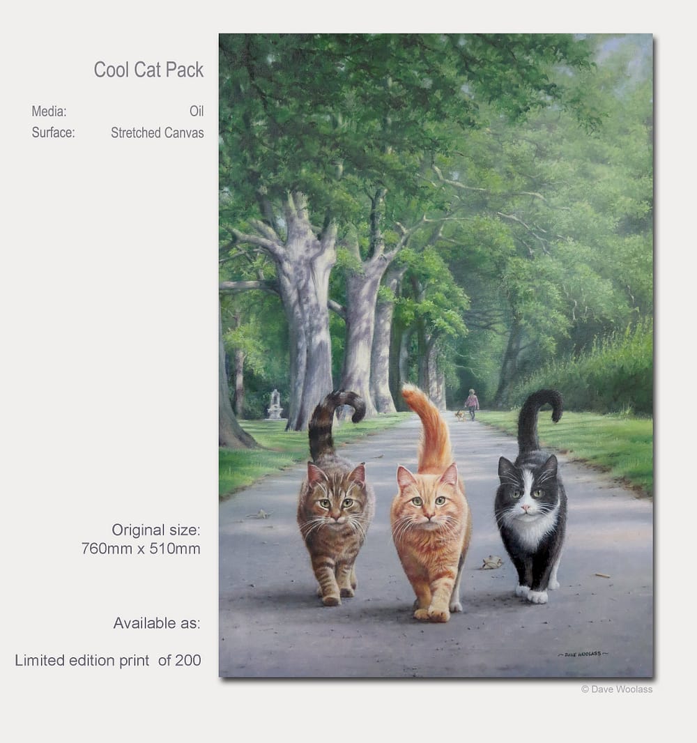 CoolCatPack