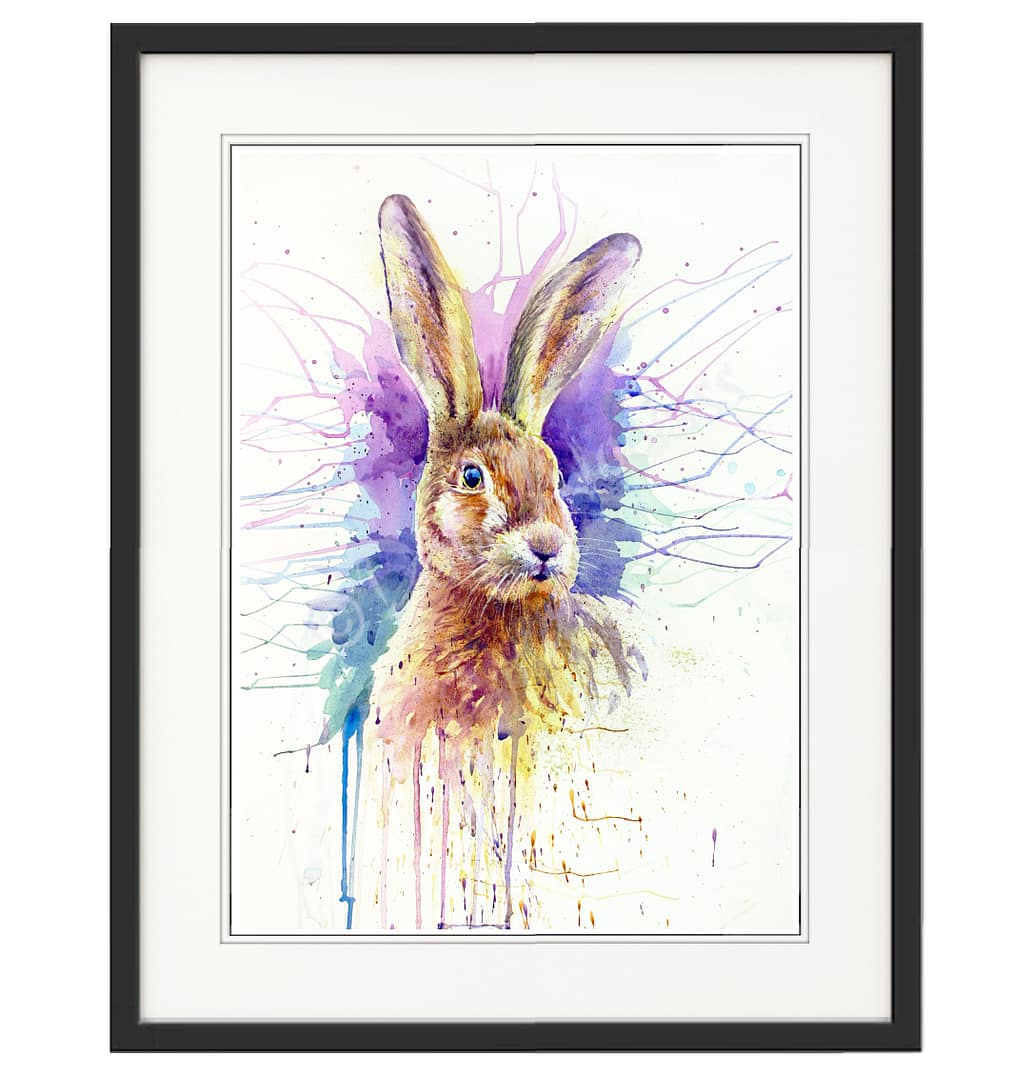 Hare Colour - Image 2