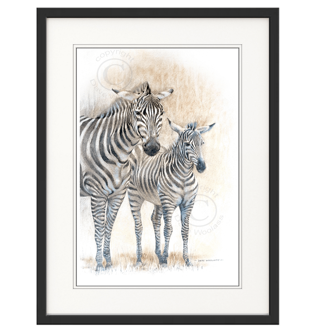 Zebra Mare and Foal - Image 2