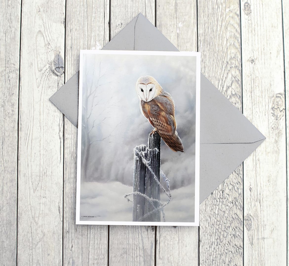 Barn Owl Fine Art Card