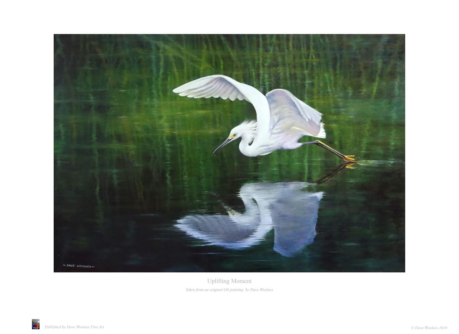 Egret 'Uplifting Moment'