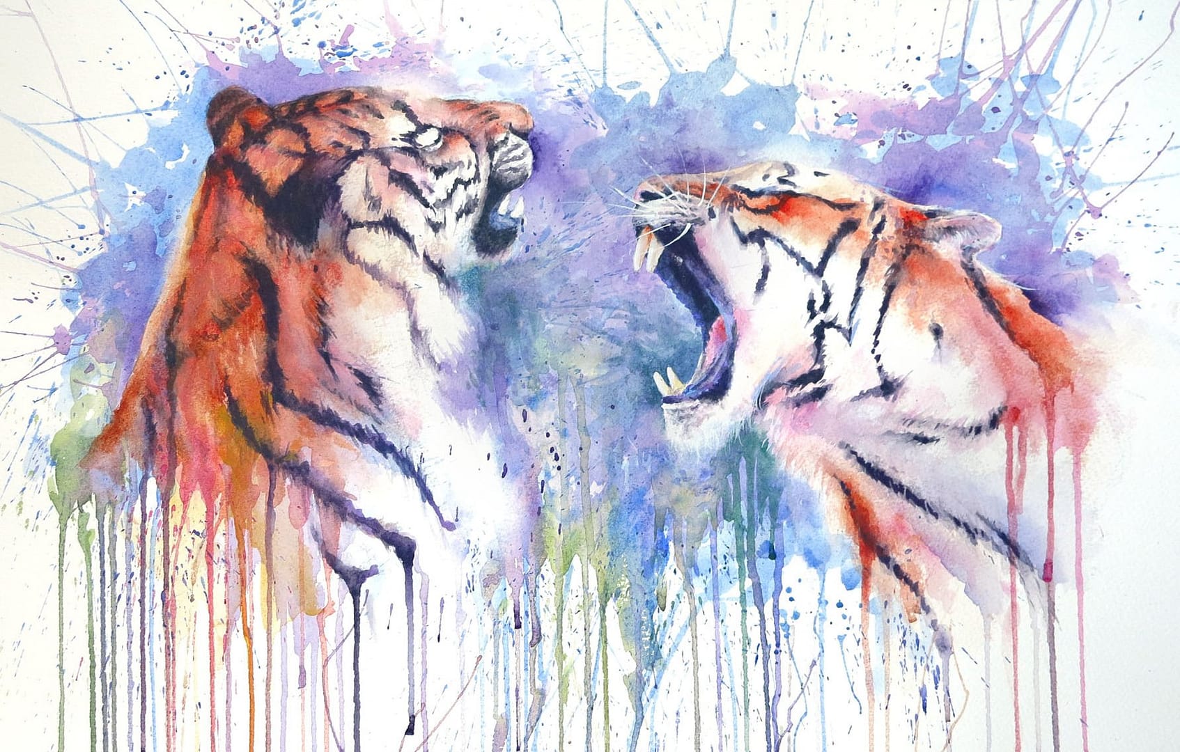Tigers Roar