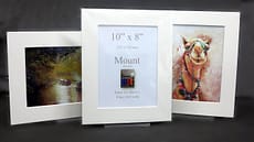 Fine Art Card Mount