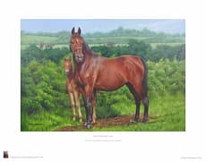 Mare and Foal, Her Pride and Joy