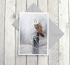 Barn Owl Fine Art Card