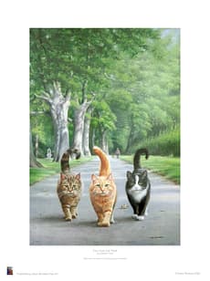 The Cool Cat Pack