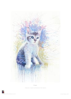 Kitten