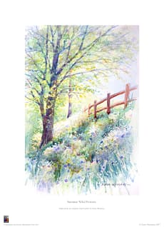 Summer Wild Flowers