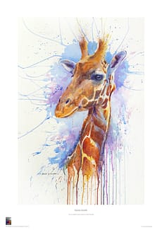 Gentle Giraffe