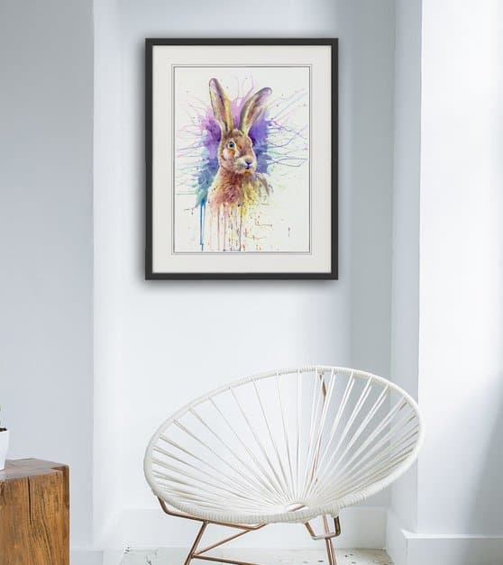 Hare Colour - Image 3