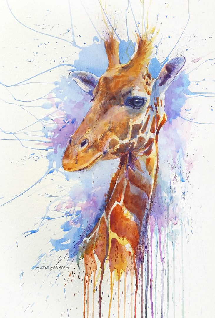 Gentle Giraffe