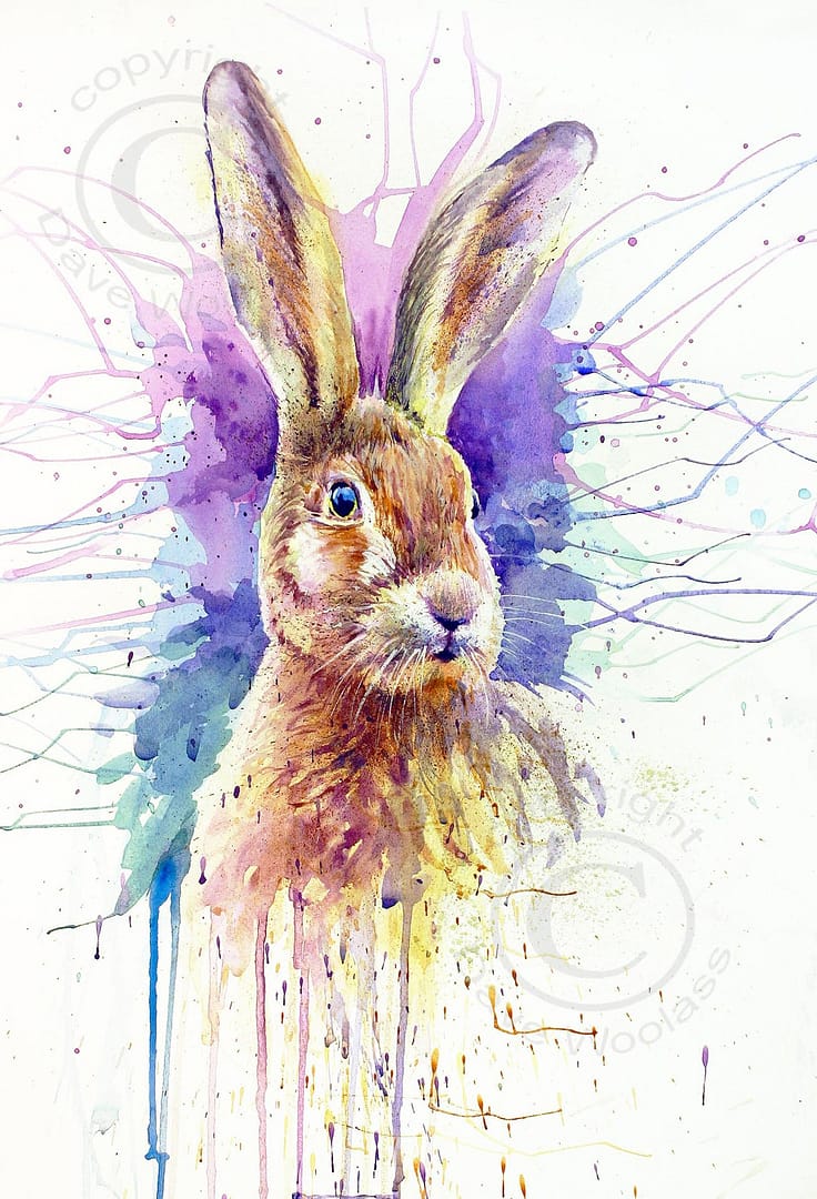 Hare Colour
