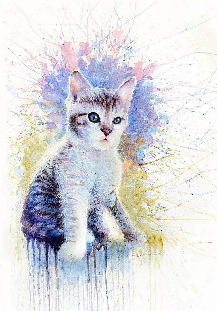 Kitten