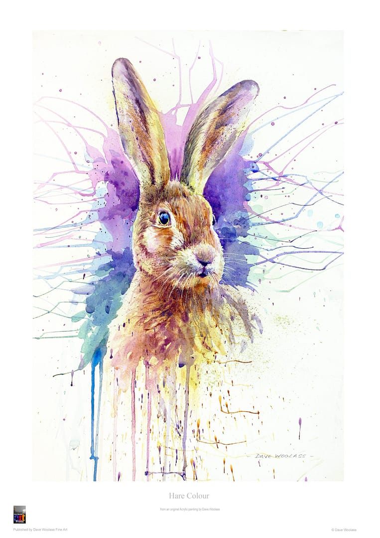 Hare Colour