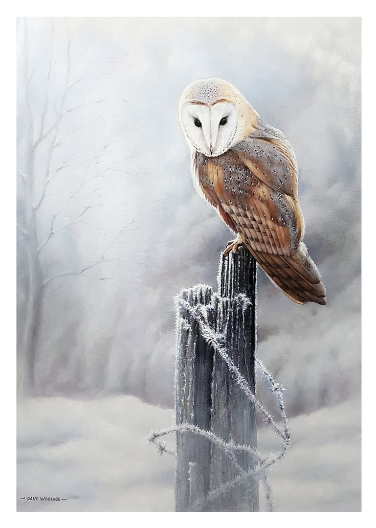Barn Owl Fine Art Card - Image 3