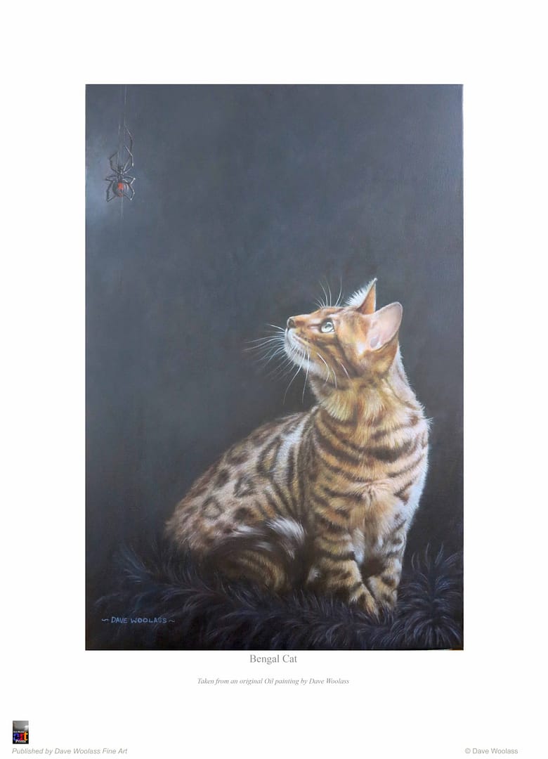 Bengal Cat