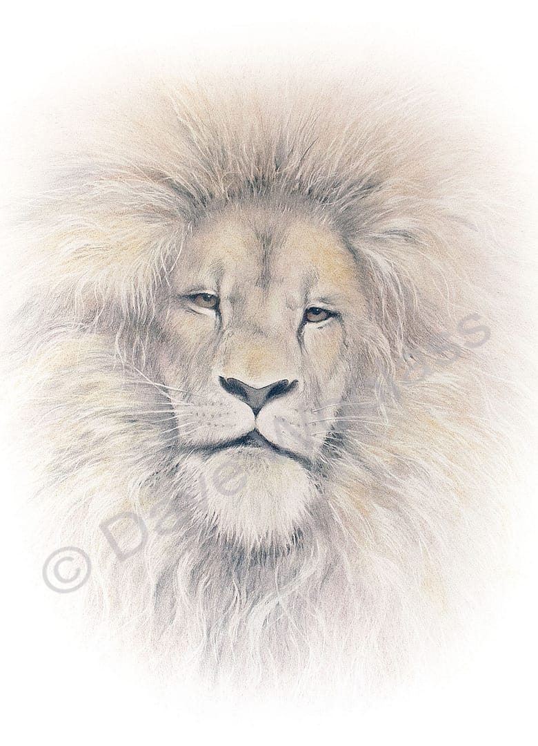 Aslan's Eyes