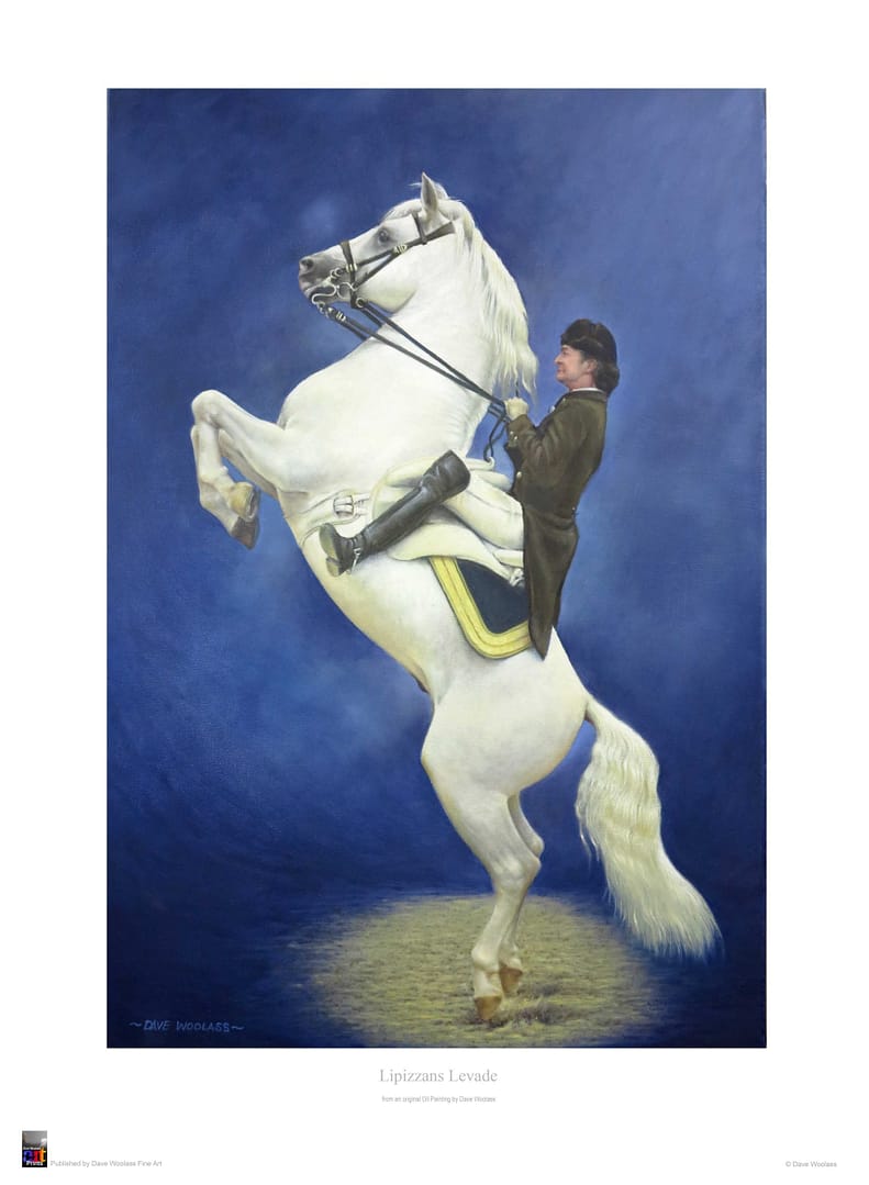 Lipizzans Levade