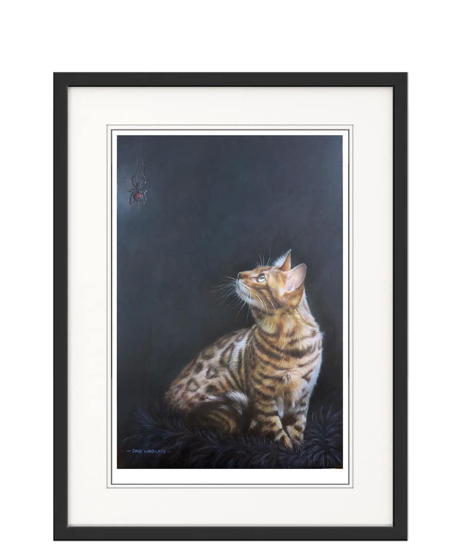 Bengal Cat - Image 2